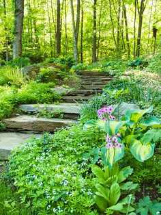 a stone path in the middle of a forest with flowers and plants growing on it