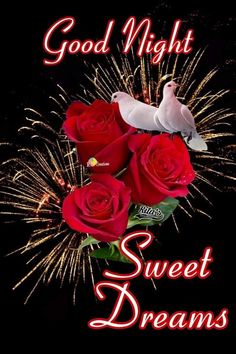 good night sweet dreams with red roses and two white doves on the top of them