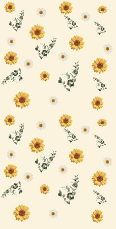 sunflowers and leaves on a white background