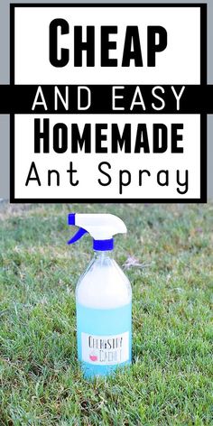 a bottle of homemade anti - spray sitting in the grass with text overlay reading cheap and easy homemade ant spray