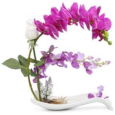 purple flowers are arranged in a white vase