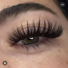 Natural Fake Eyelashes, Lashes Fake Eyelashes, Lash Extensions Makeup, Lash Extensions Styles, Perfect Eyelashes, Pretty Lashes, Natural Eyelash Extensions, Eyelash Extentions, Makijaż Smokey Eye