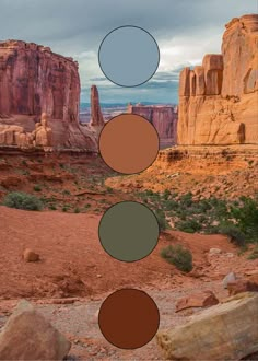 four circles are arranged in the middle of a desert landscape, with rocks and trees