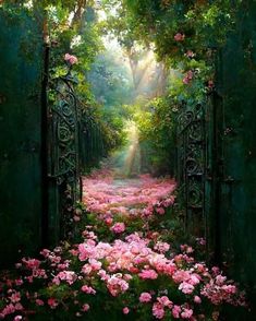 an open gate leading into a lush green forest with pink flowers on the ground and sunlight streaming through