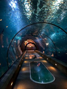 an underwater tunnel is shown in this photo