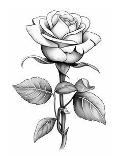 a black and white drawing of a rose