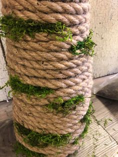 some rope with moss growing on it