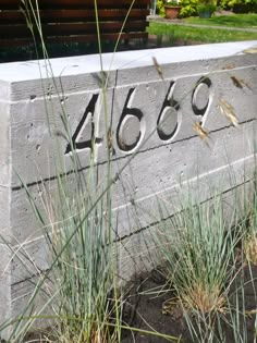 a concrete block with the number 466 written on it and grass growing in front