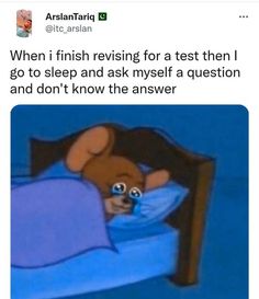 a cartoon bear laying in bed with the caption when i finish rising for a test then go to sleep and ask myself