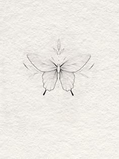 a black and white drawing of a butterfly