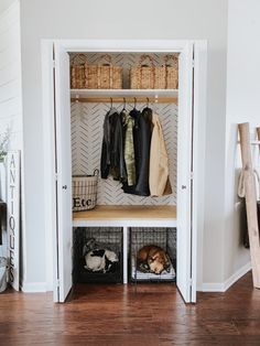 a dog laying on the floor in front of a closet with baskets and coat racks