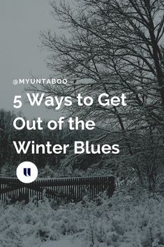 the words 5 ways to get out of the winter blues in front of a snowy park bench