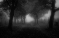 black and white photo of foggy graveyard with trees in the foreground at night