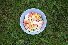 a blue bowl filled with marshmallows on top of green grass