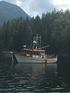 a white boat floating on top of a body of water near a lush green forest