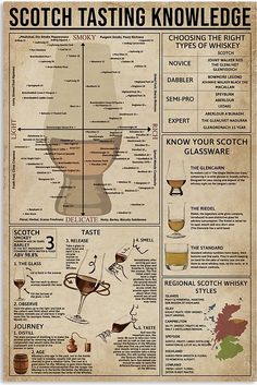 a poster with the names and description of different types of alcohol in each glassware