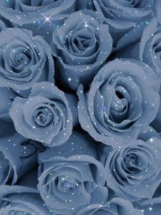 a bunch of blue roses with glitters on them