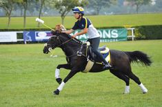 a person riding on the back of a black horse in a field with trees and grass