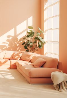 a living room filled with furniture and a potted plant