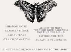 a moth with the words, shadow work, and light