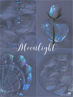 three different images with the words moonlight written in white and blue letters on them, along with a single rose