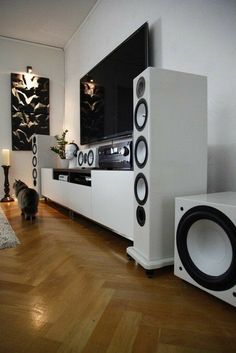 a cat is sitting on the floor in front of a large television set and speakers