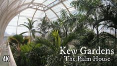 the palm house is surrounded by trees and greenery, with text overlaying it that reads kew gardens the palm house