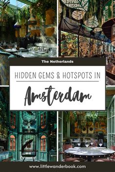 the hidden gems and hotspots in amsterdam with text overlay that reads, hidden gems & hotspots in amsterdam