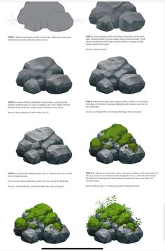 some rocks and plants are shown in this graphic art workflowe for the game