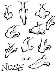 various types of nose shapes and their meanings in black ink on white paper with the words nose