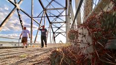 two men walking across a bridge with cactus in the foreground and blue sky in the background