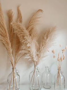 three glass vases with dried plants in them