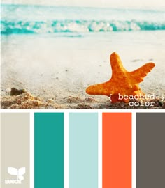 a starfish sitting on top of a sandy beach next to the ocean with color swatches