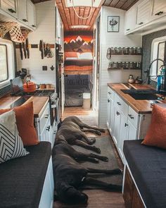 two dogs laying on the floor in a small room with white cabinets and black couches