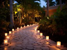 many lit candles are lined up along a stone path in the middle of palm trees