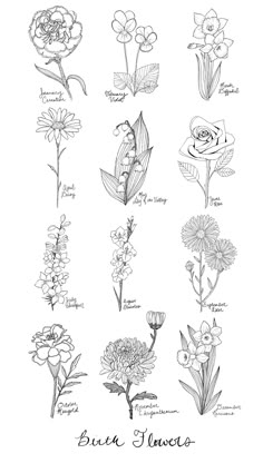 an image of flowers that are drawn in ink and pen on paper with the words,'flower flavors '