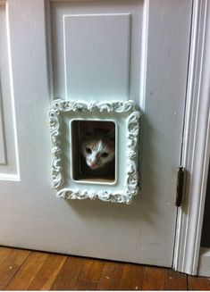 a cat is peeking out from behind a white frame on the door way to look at it