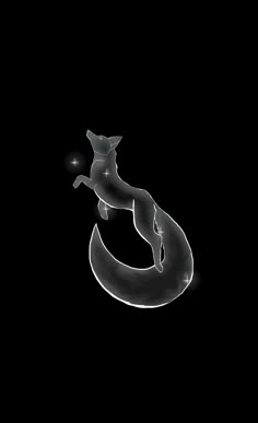 a black and white photo of a cat on top of an object in the dark