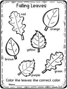 coloring pages for fall leaves with the words, color the leaves in the correct colors