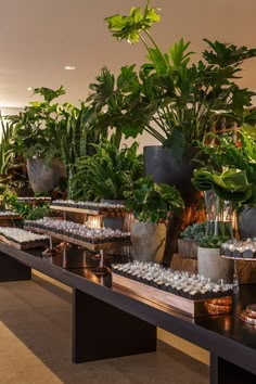 there are many potted plants on the tables in this room and one is filled with rocks