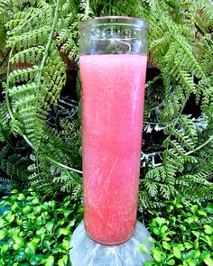 a tall glass filled with pink liquid sitting on top of a metal stand next to green plants