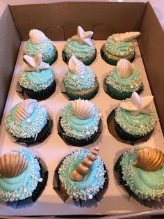 cupcakes with blue frosting and sea shells in a box