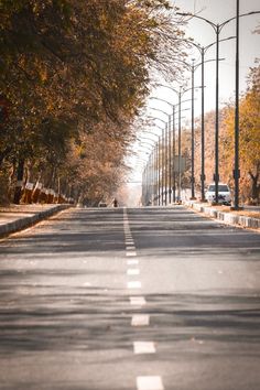 an empty street lined with lots of trees