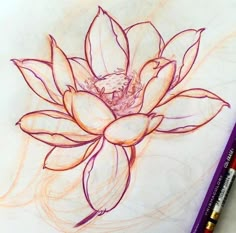 a drawing of a flower on paper with colored pencils