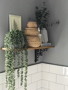 some potted plants are sitting on a shelf in the corner of a room with gray walls