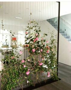 pink flowers are growing on the side of a glass wall in front of stairs and staircases