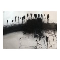 black and white photograph of trees in the water with grass growing out of their tops