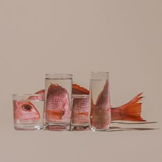 three glasses with fish in them sitting next to each other