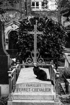 a black cat sitting on top of a grave in front of a cross and tree