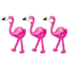 three pink flamingos standing next to each other